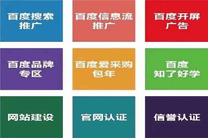 SEM推广公司成功案例：助力企业实现业绩持续增长